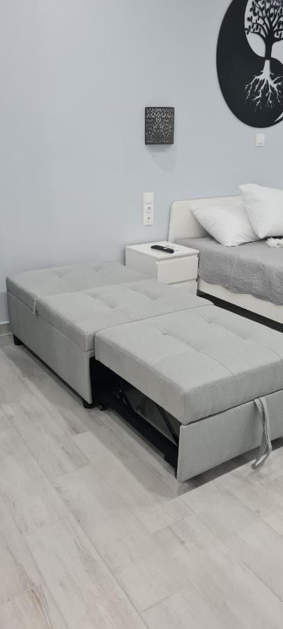 Cozy With Garden Near Town Center, Fully Renovated. 雅典