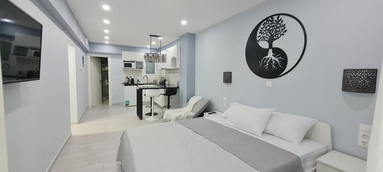 Cozy With Garden Near Town Center, Fully Renovated. 公寓 雅典