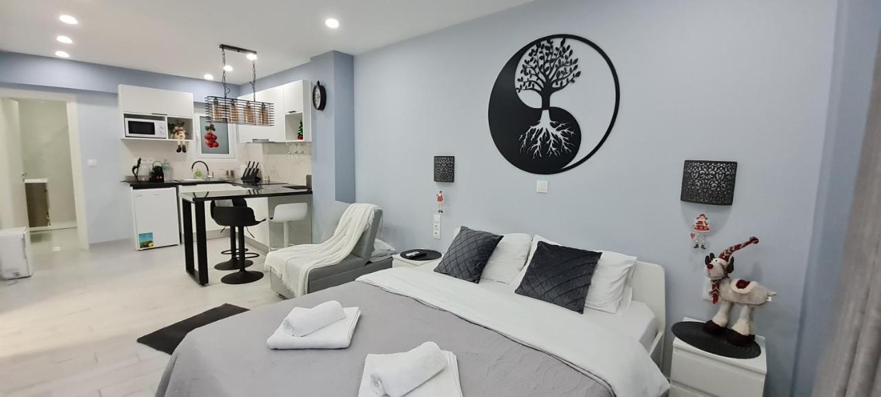 公寓 Cozy With Garden Near Town Center, Fully Renovated. 雅典